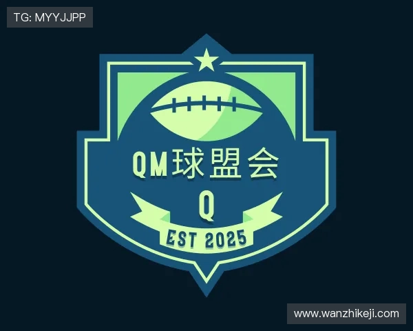 介绍qm球盟会